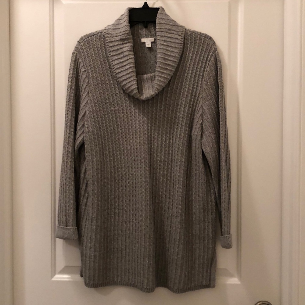 Cute J. Jill Tunic Sweater.
